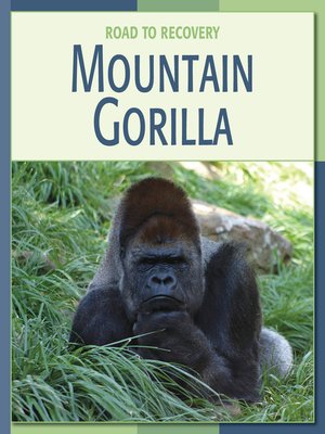 cover image of Mountain Gorilla
